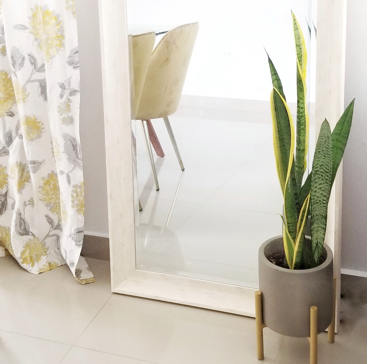 plant as a center peice